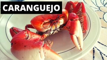 CARANGUEJO RECEITA RÁPIDA E FÁCIL – Como fazer caranguejo